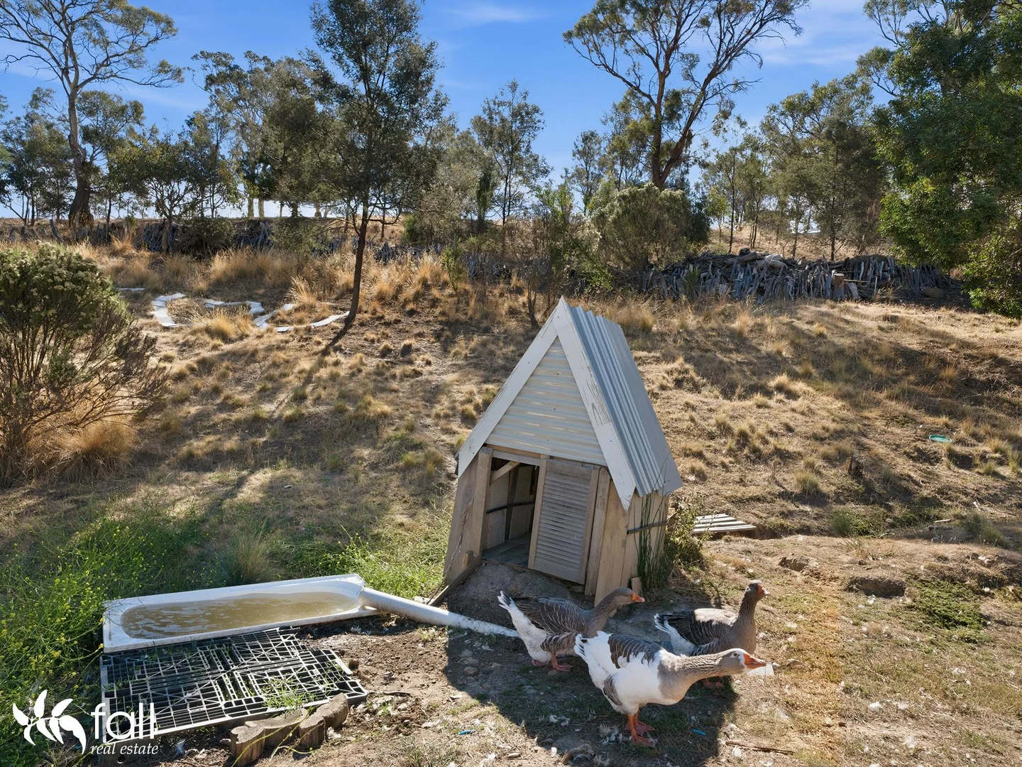 Additional image 24 of 12 Amygdalina Rise, Honeywood TAS 7017