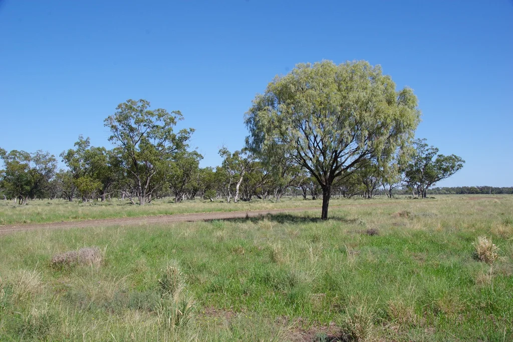 Additional image 22 of . Sunnyside Lane, Wee Waa NSW 2388