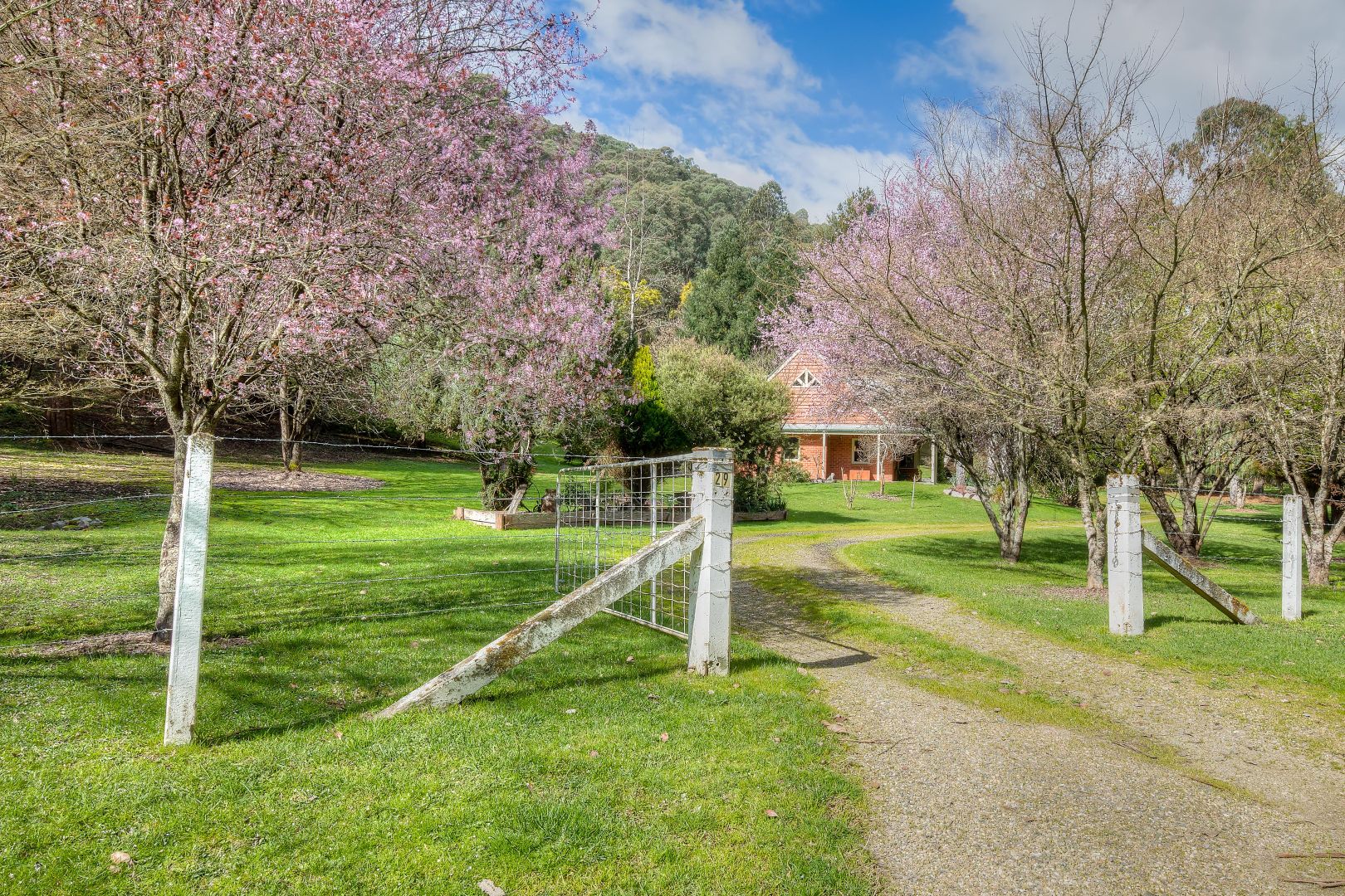 29 Williams Road, Wandiligong VIC 3744, Image 1