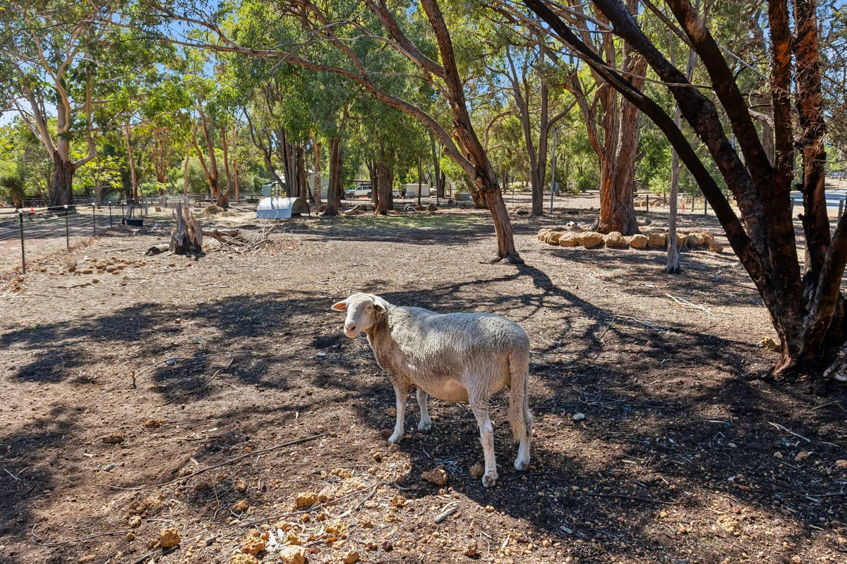 Additional image 23 of 58 Mairinger Way, Wundowie WA 6560