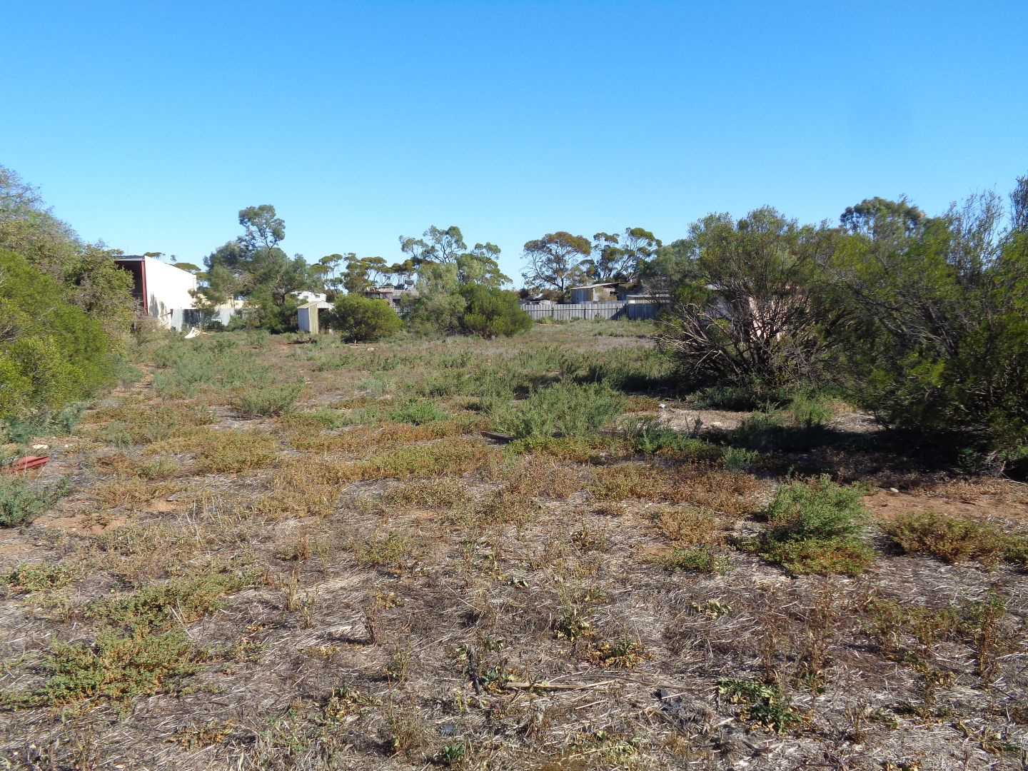 Lot 16 First Street, Wild Horse Plains SA 5501, Image 1