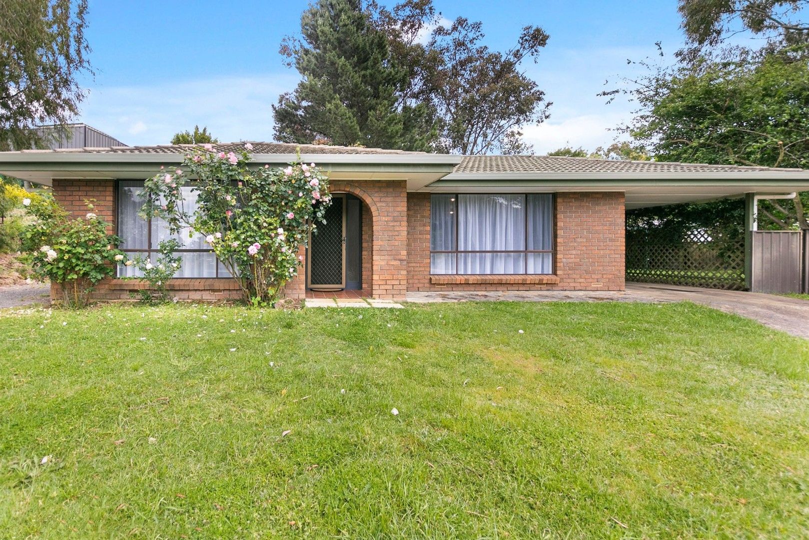 31 Clyde Terrace, Mount Compass SA 5210, Image 0