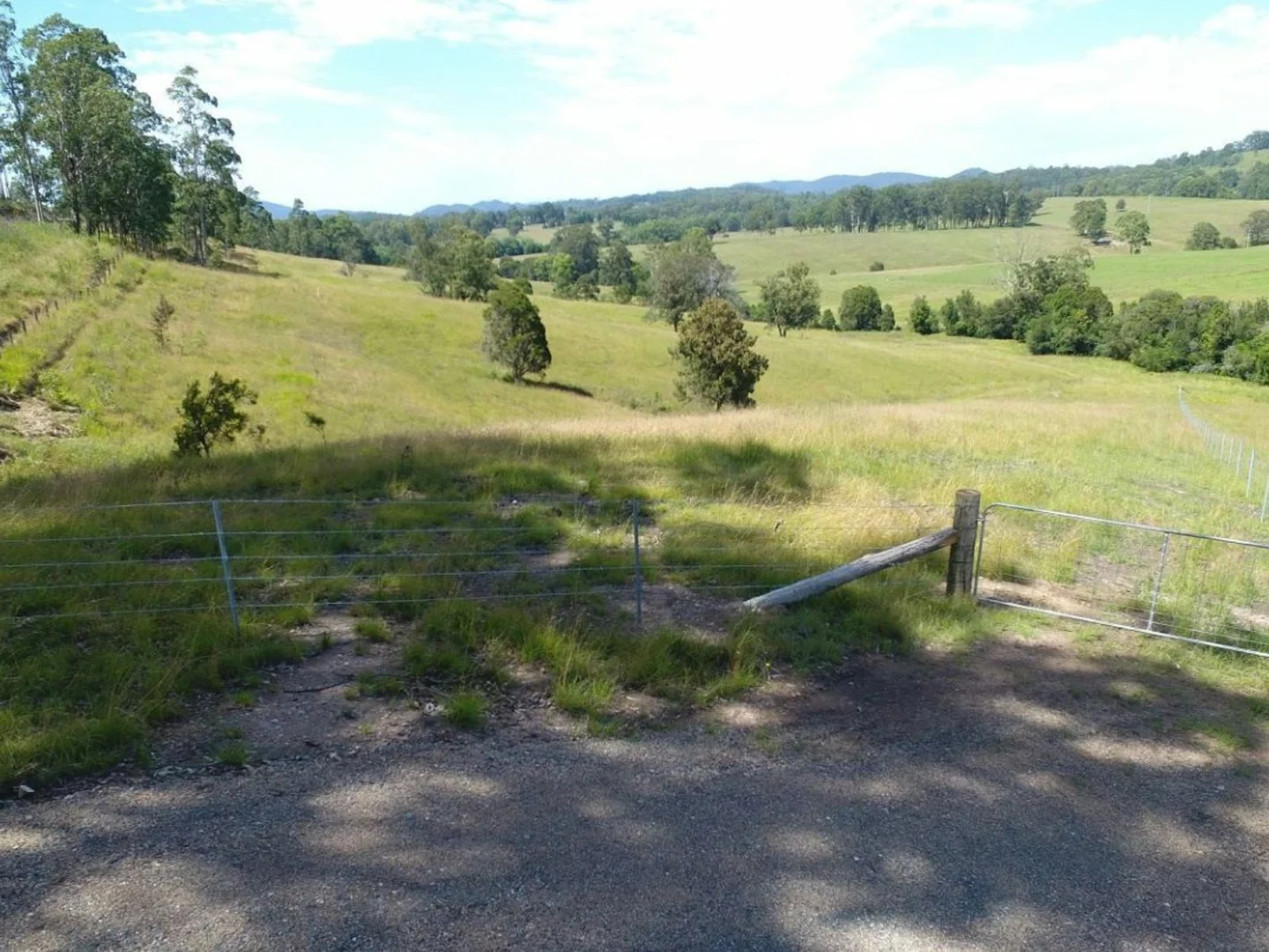 Image 15