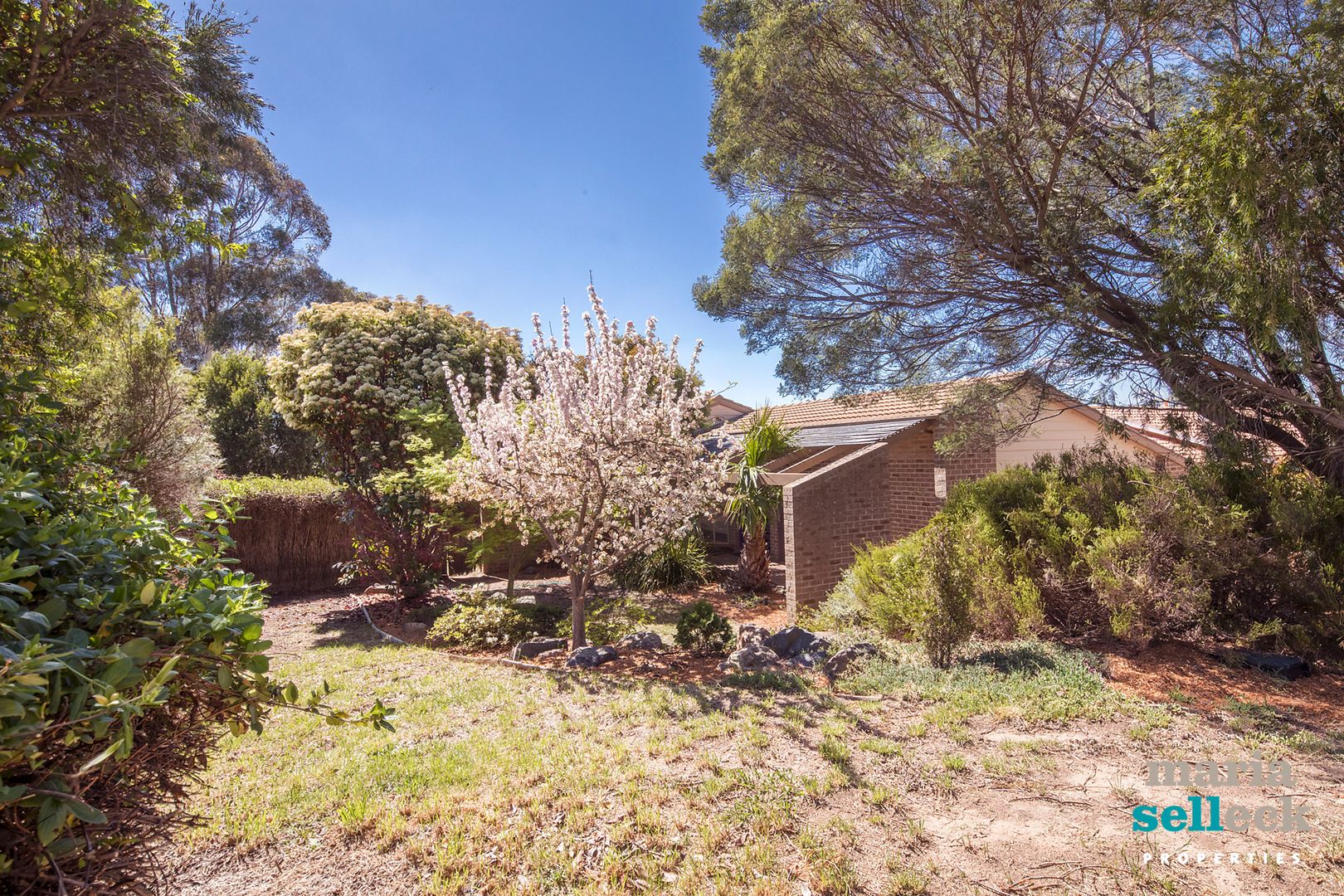 10 Sentry Crescent, Palmerston ACT 2913, Image 2