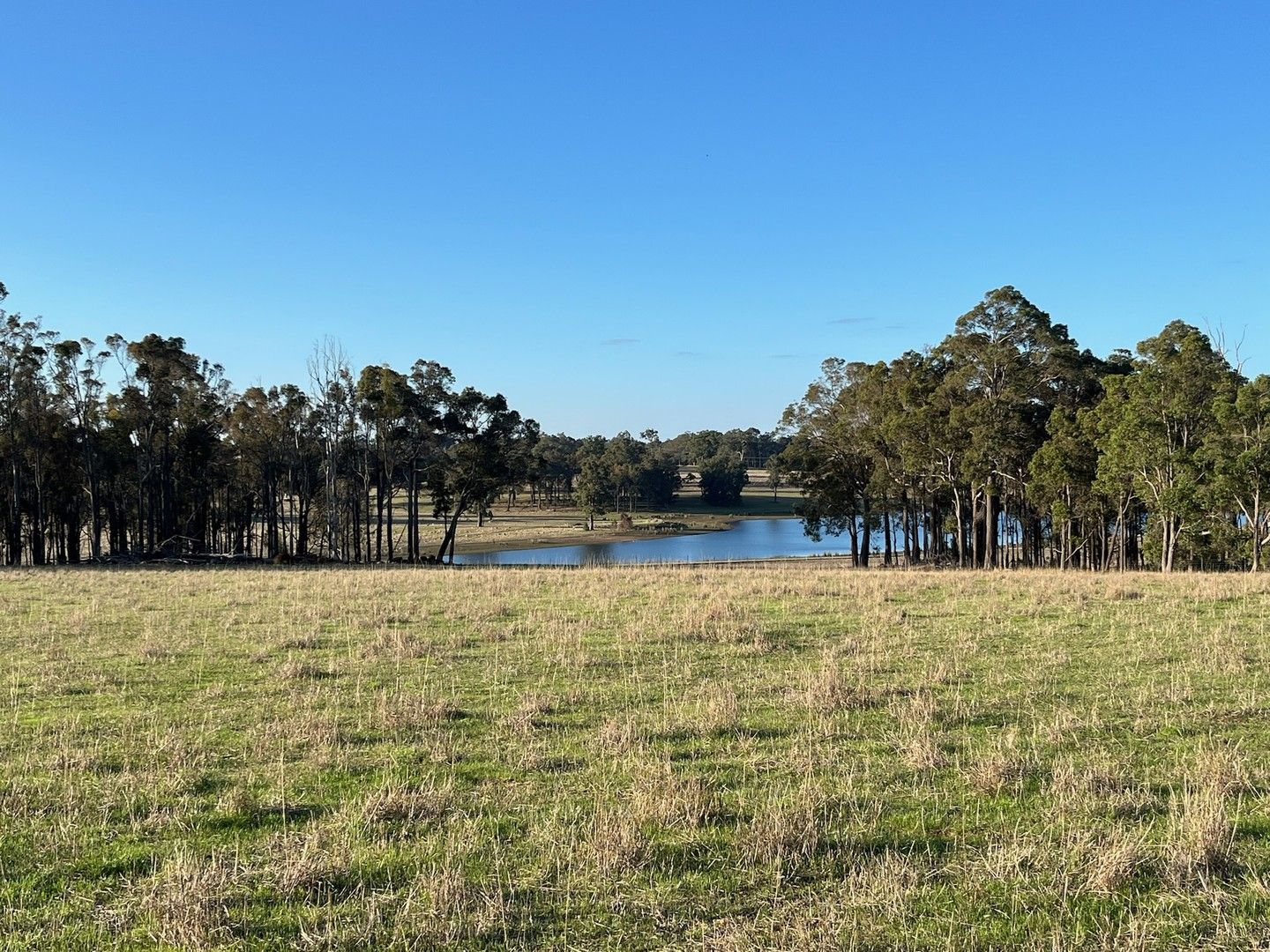 Rural in Proposed L/101 South Western Highway, PALGARUP WA, 6258