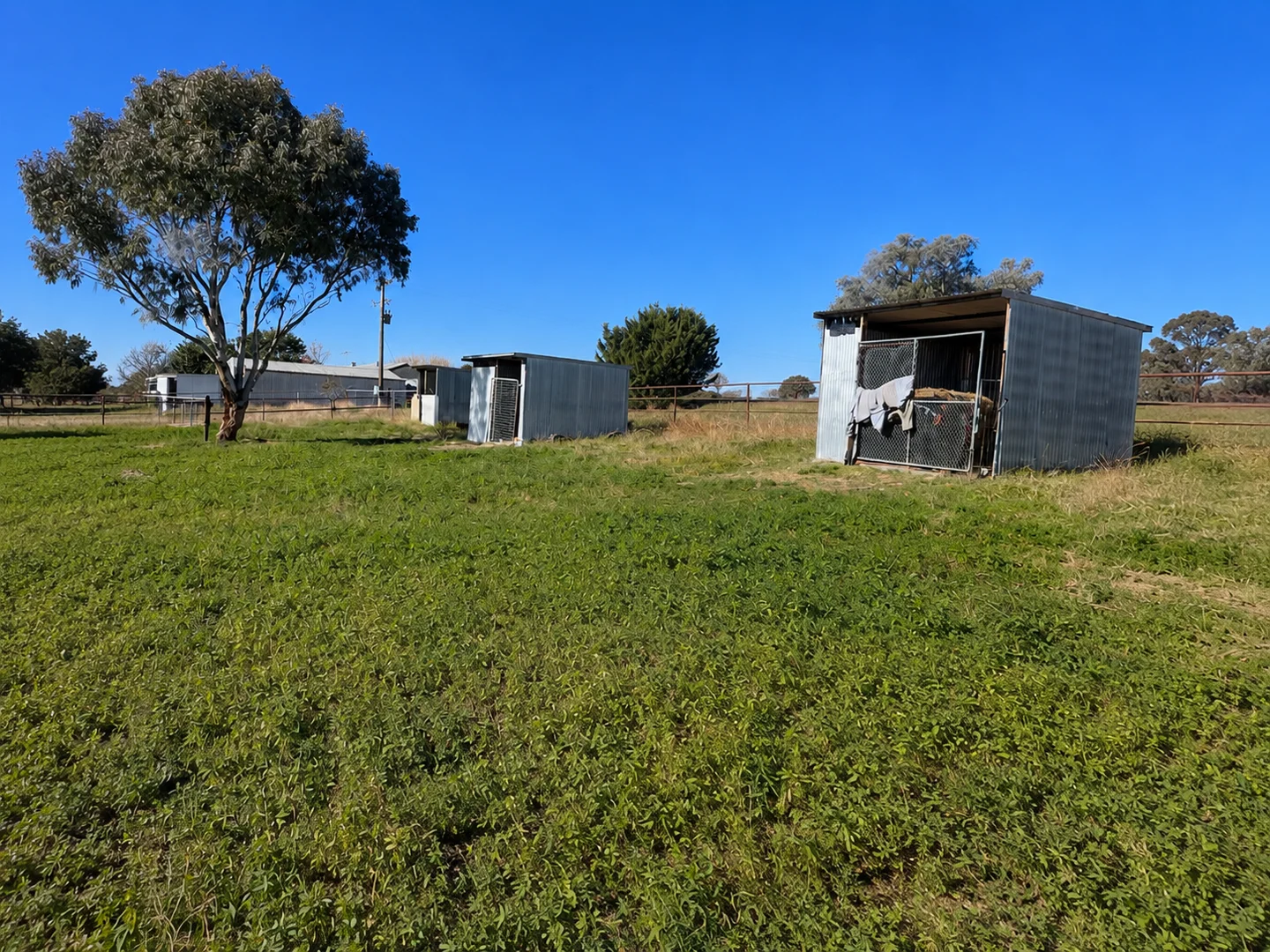 Image 12