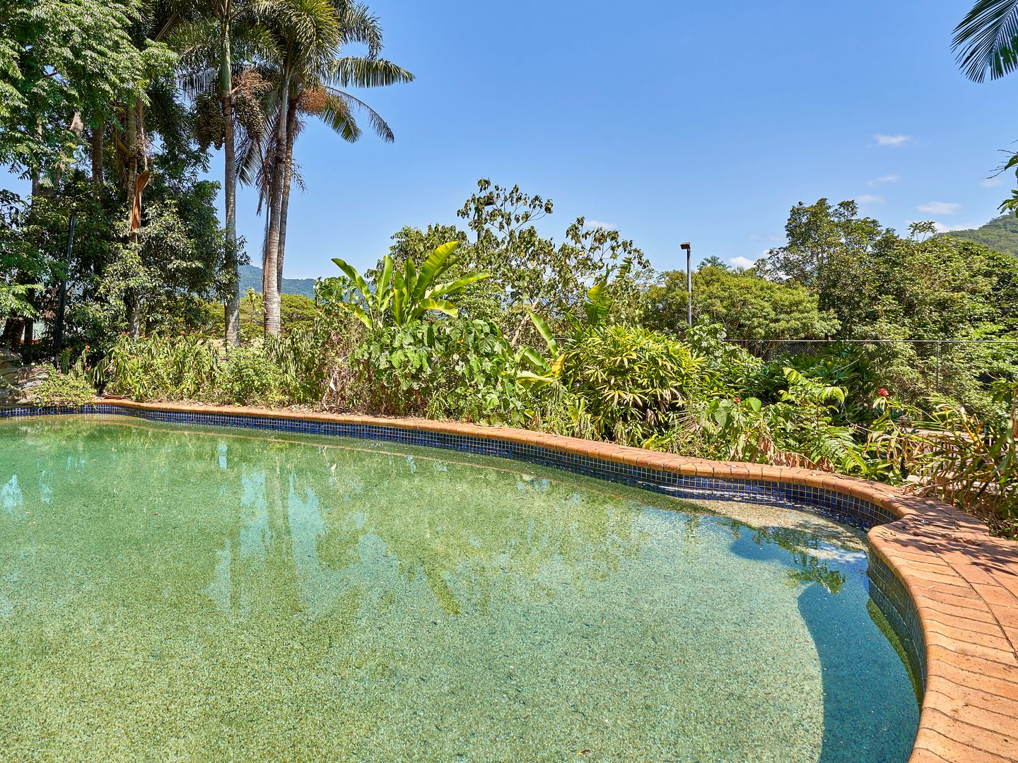 163 Maitland Road, Gordonvale QLD 4865 - House for Sale | Domain