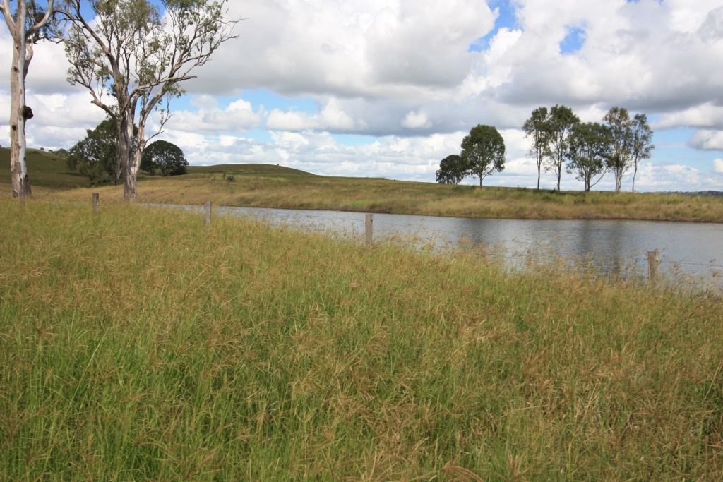 TANSEY QLD 4601, Image 2