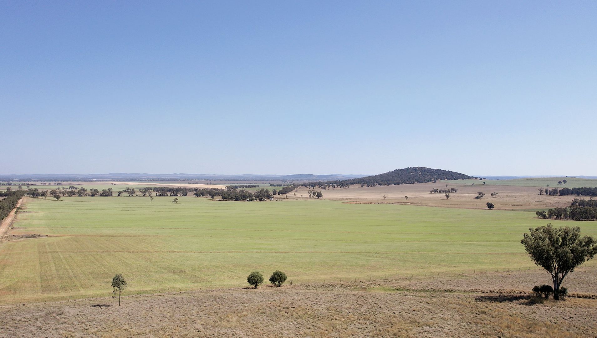 326 Wightman Road, Emerald Hill NSW 2380 Specialist Farm for Sale