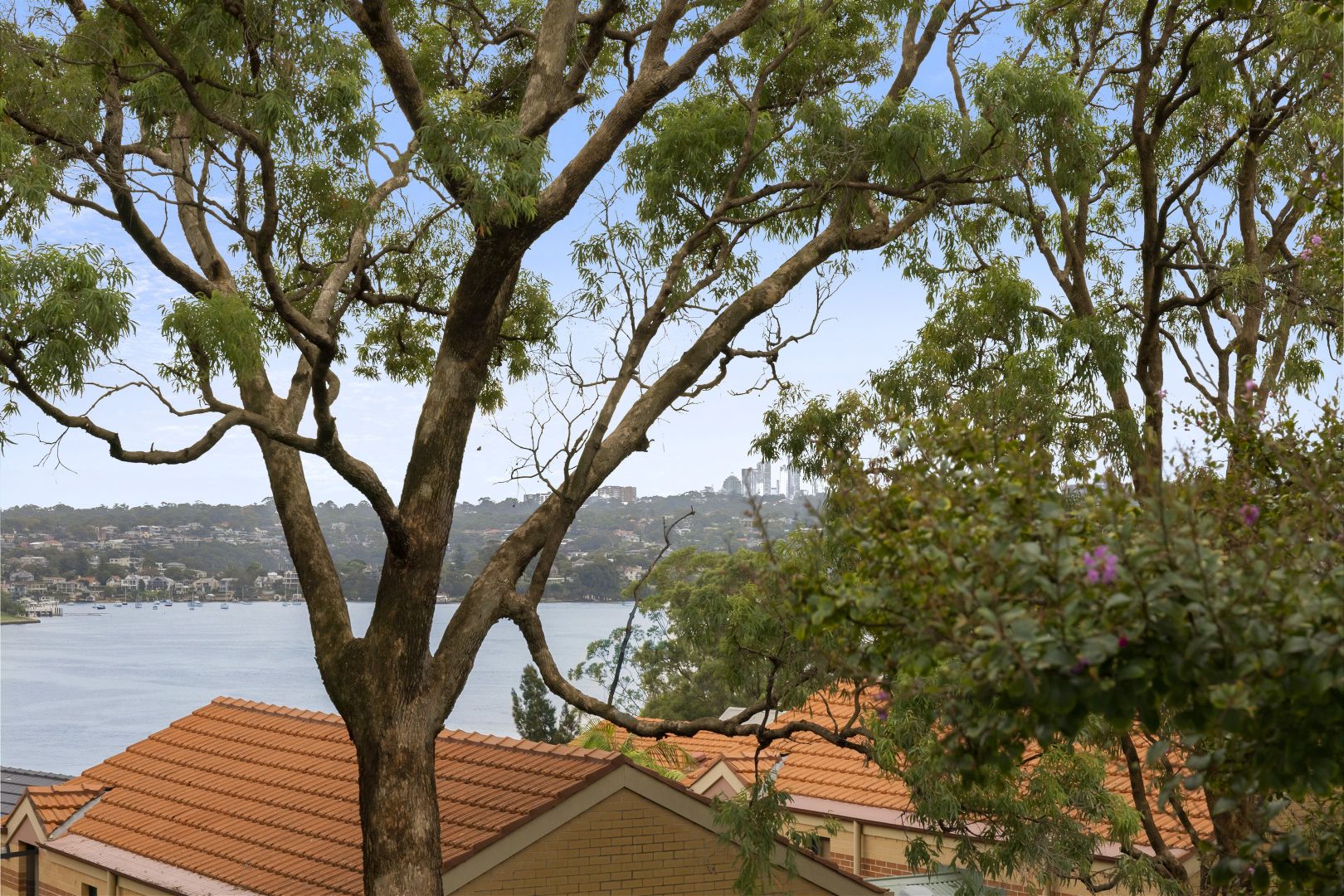 27 Macquarie Terrace, Balmain NSW 2041, Image 2