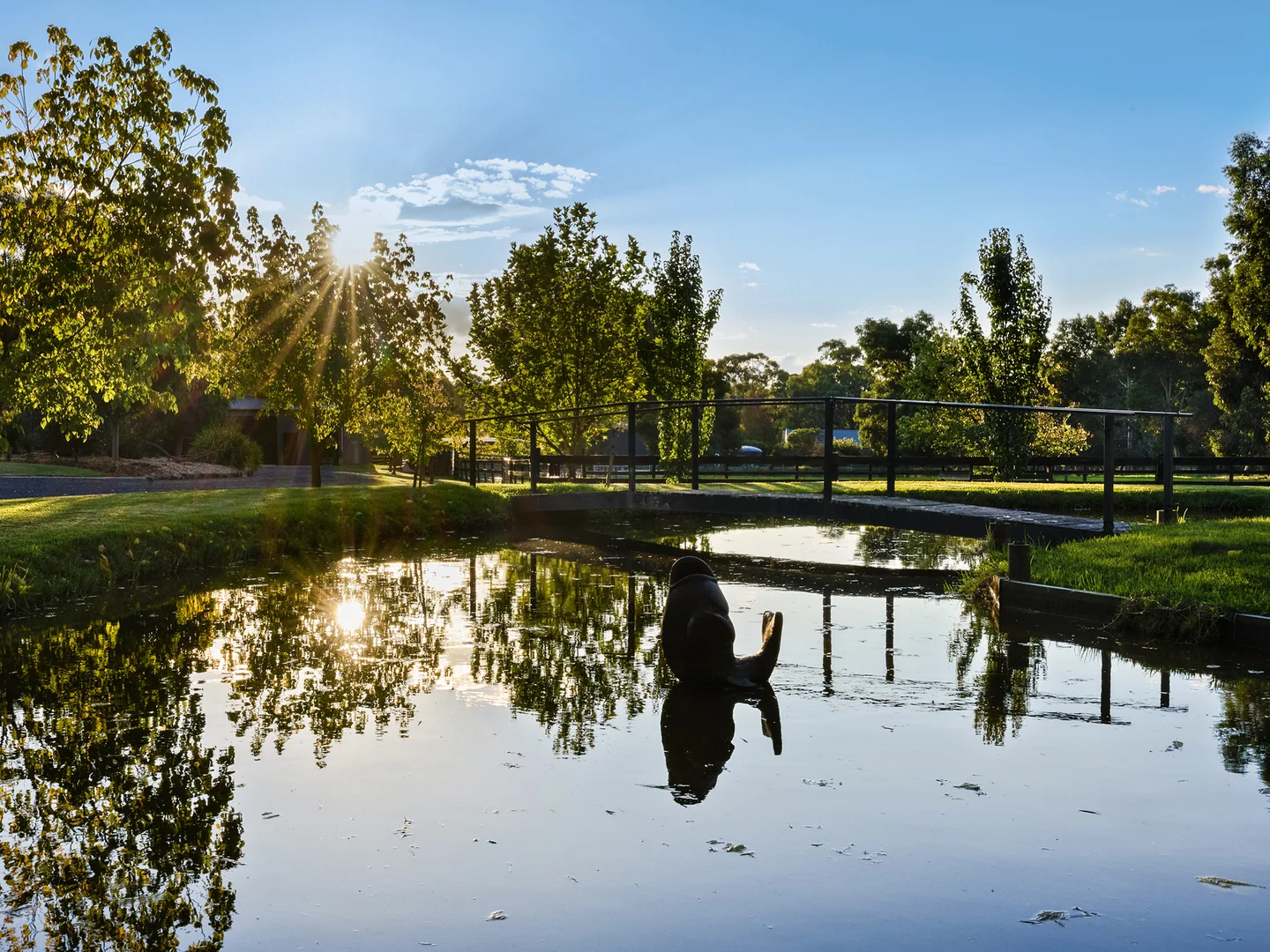 Additional image 2 of 54 Sedgwick Road, Mandurang VIC 3551