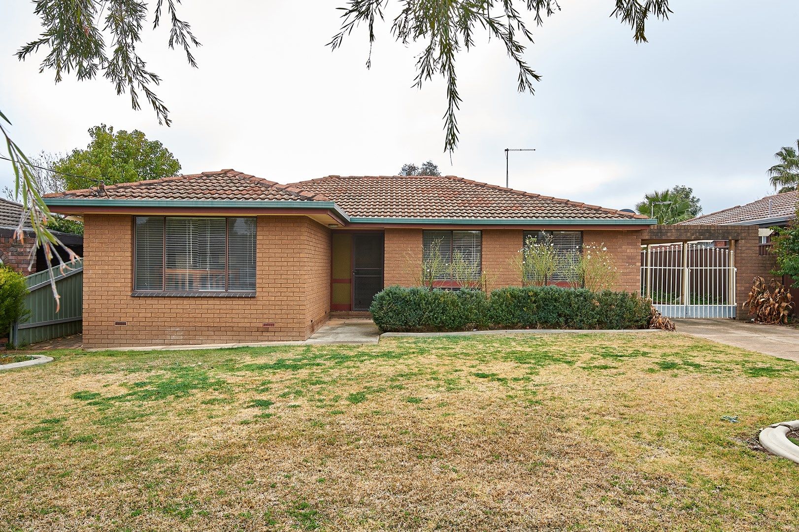 43 Crawford Street, Ashmont NSW 2650, Image 0