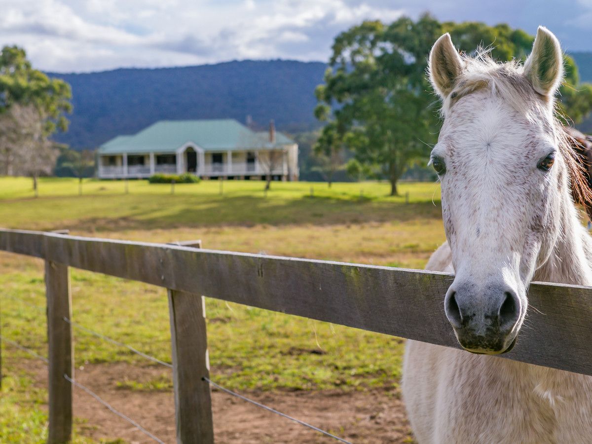 492 Congewai Road, Congewai NSW 2325, Image 0