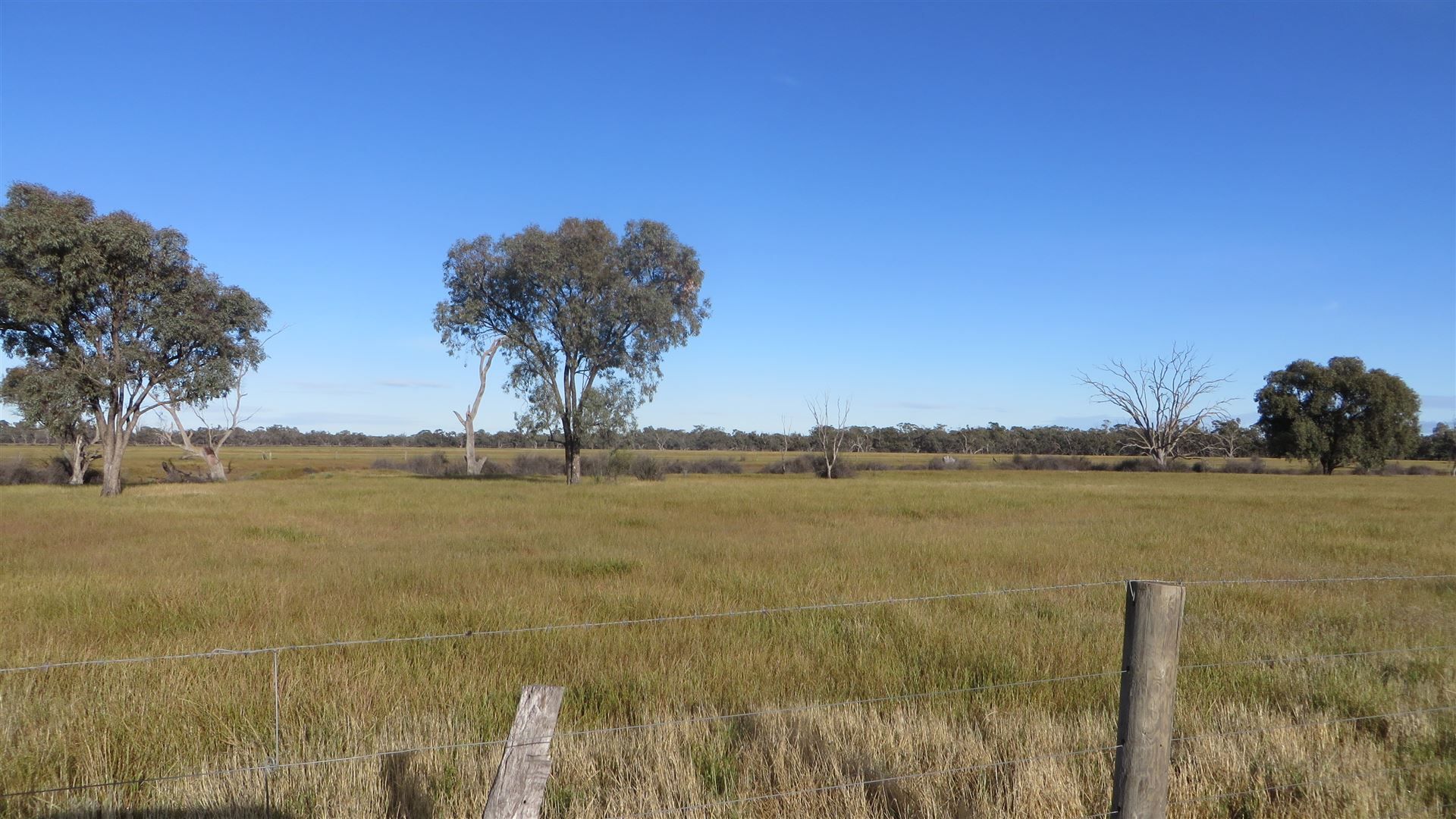 3739 Loddon Valley Highway, Kerang VIC 3579, Image 2