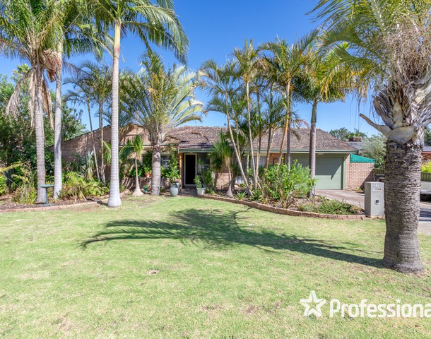 17 Avonlee Road, Armadale WA 6112