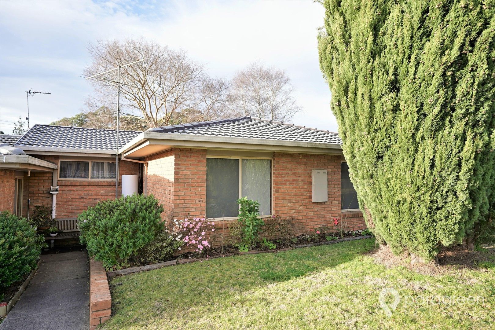 3/911 Baromi Road,, Mirboo North VIC 3871 Apartment For Rent Domain