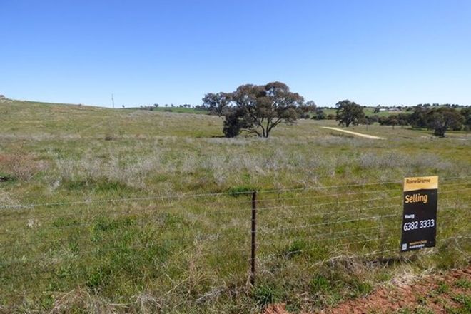 Picture of Lot 3/246 Wickham Lane, YOUNG NSW 2594