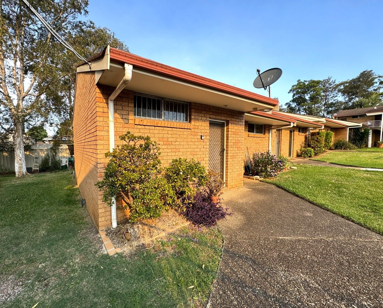 62/4 Wilkins Street, Yagoona NSW 2199 Studio For Rent 350 Domain
