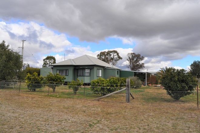 Picture of 1637 Castlereagh Highway, TALLAWANG NSW 2852