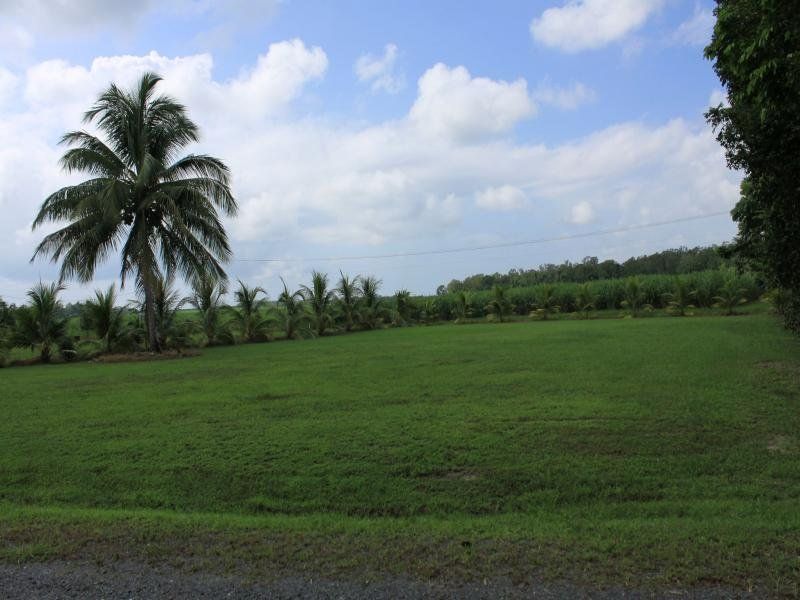 Lot 6 McDowall Lane, Daintree QLD 4873, Image 2