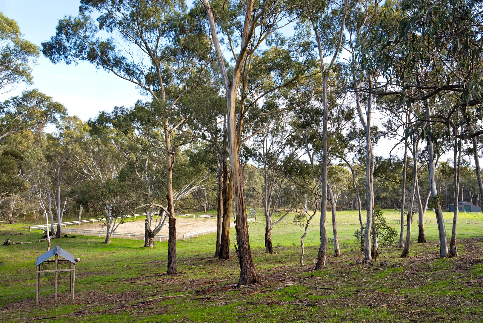 Image 25