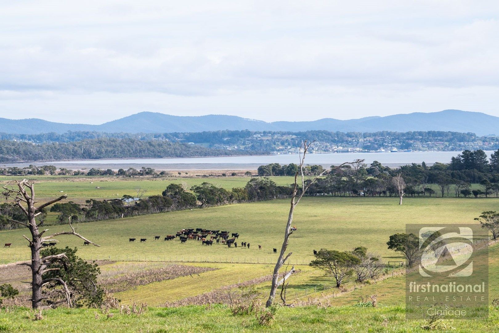 . Brodies Road, Rowella TAS 7270, Image 0