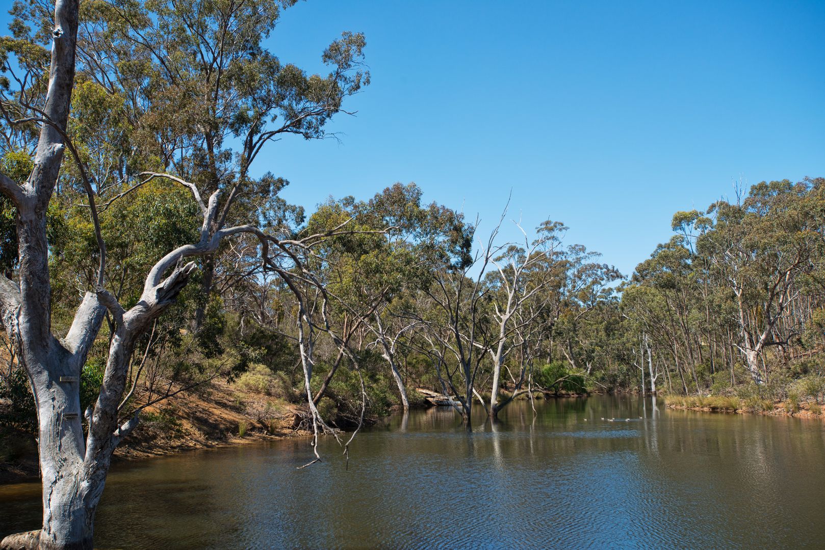 480 Lerderderg Gorge Road, Bacchus Marsh VIC 3340, Image 2