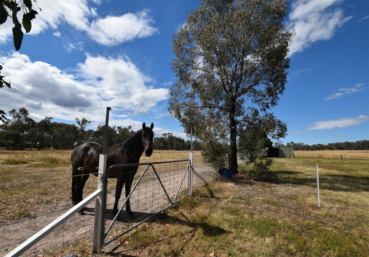 10 Schmack Lane, Chiltern VIC 3683, Image 2