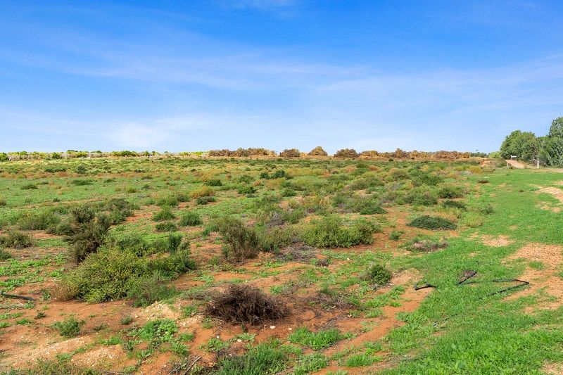 Lot 128 Cox Road, Waikerie SA 5330, Image 0