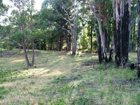 Lot 5 Cloudy Bay, Lunawanna TAS 7150, Image 0