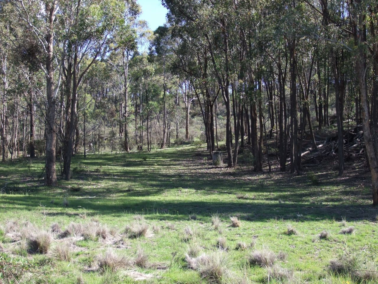 Gowan Road, Orange NSW 2800, Image 0