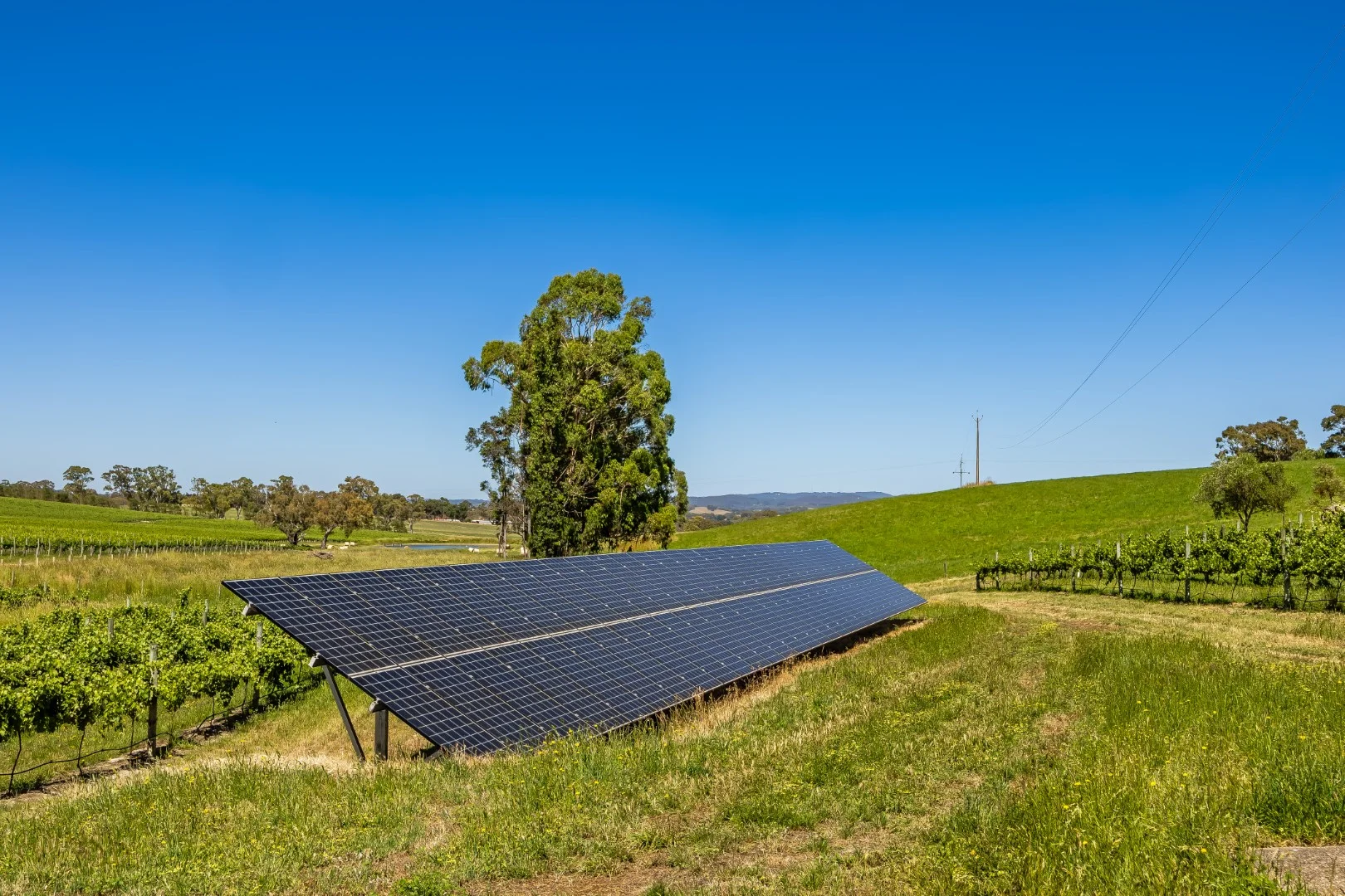 Additional image 27 of 72 Bird in Hand Road, Woodside SA 5244