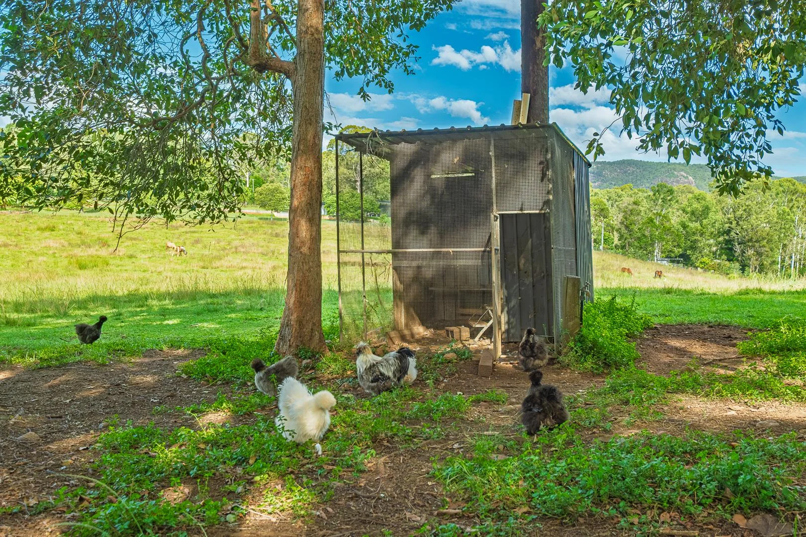 Additional image 33 of 40 McGinn Road, Gheerulla QLD 4574