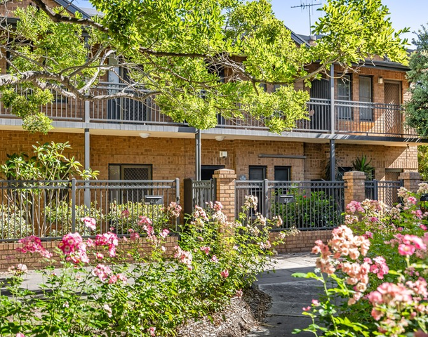 61A Hurtle Square, Adelaide SA 5000