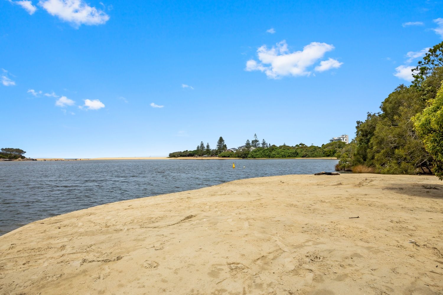 31 Cooper Street, Currimundi QLD 4551 House For Rent Domain