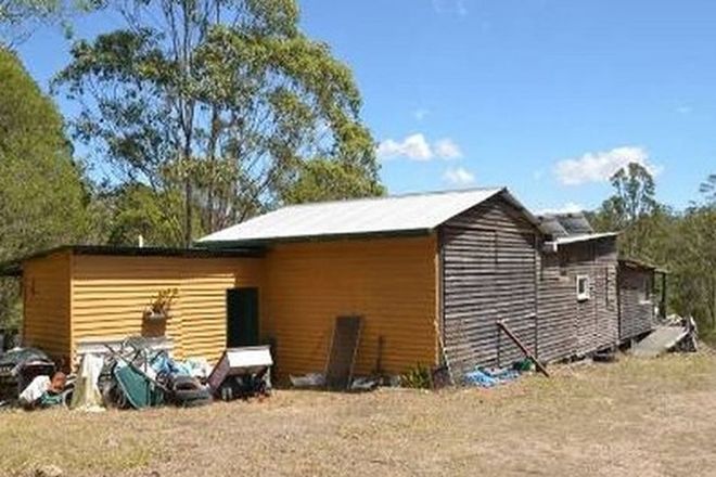 Picture of BULGA FOREST NSW 2429