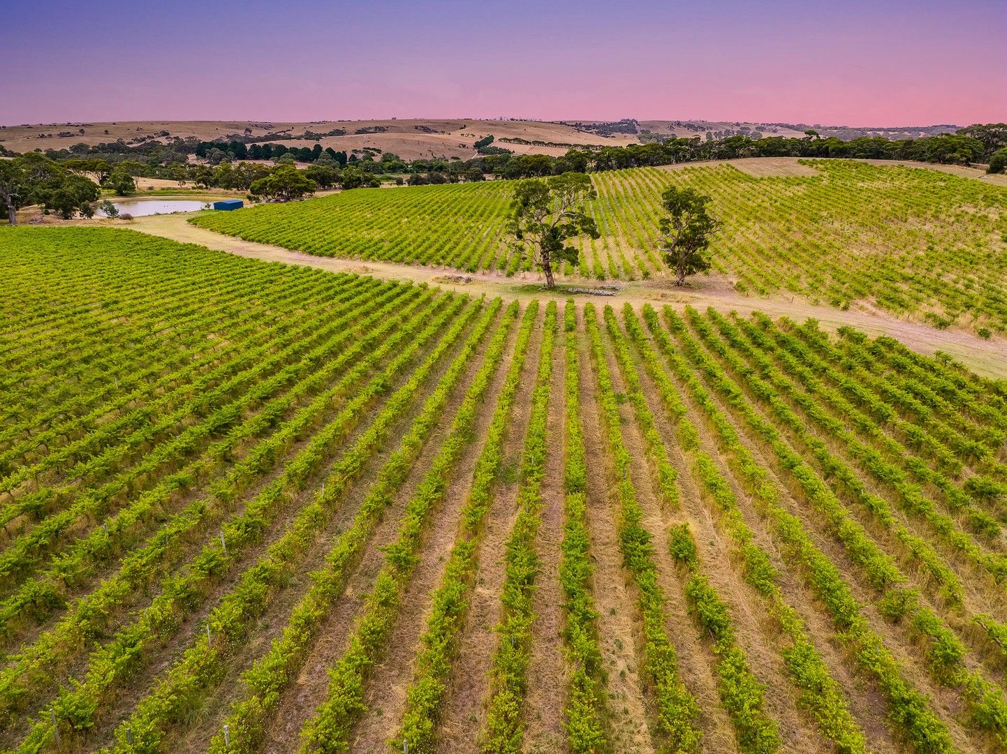 Allotment comprising Pieces 91 and 92 Flagstaff Hill Road, Currency Creek SA 5214, Image 0