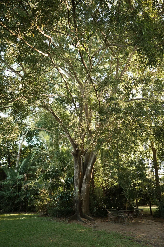 Image 22