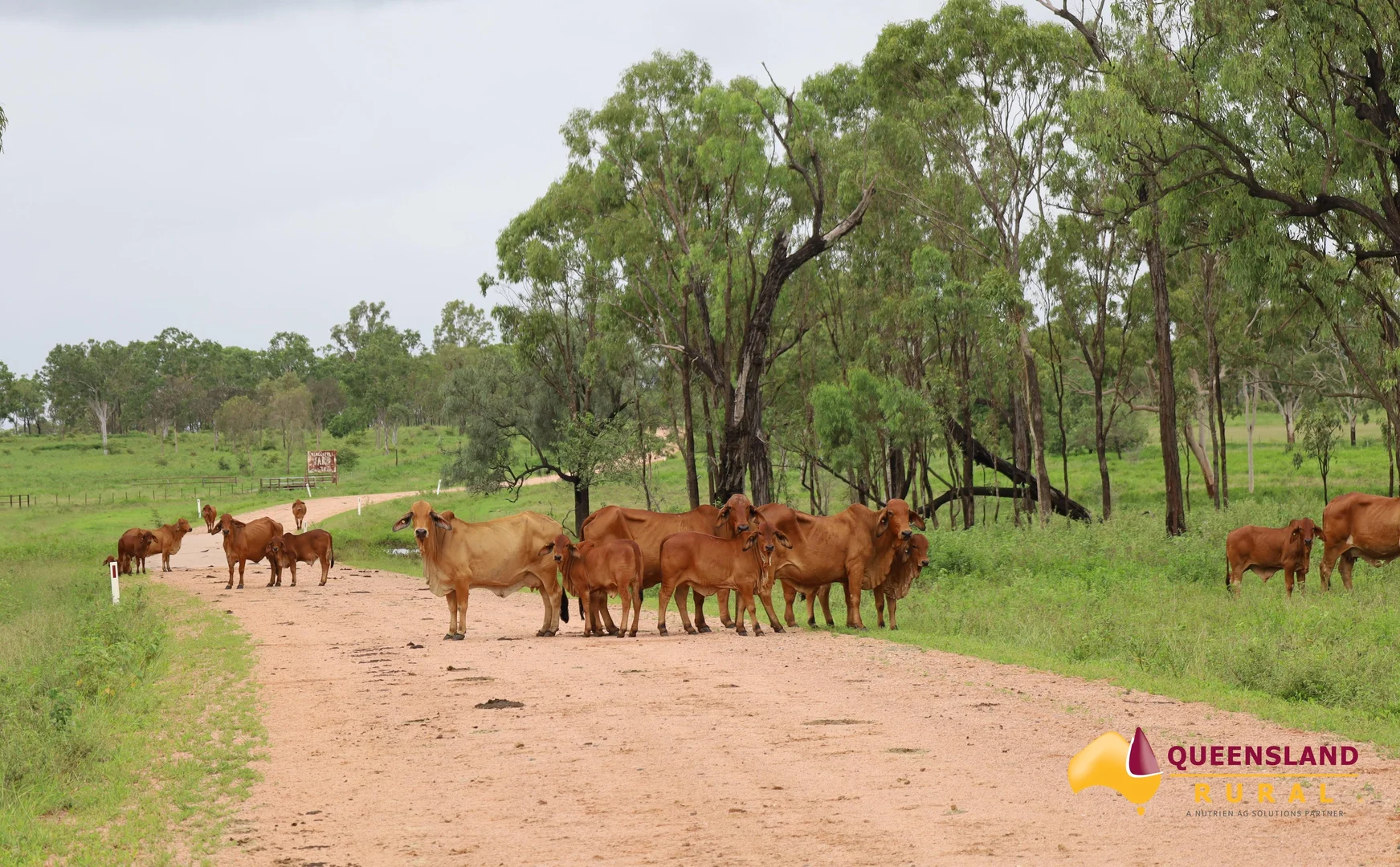Additional image 17 of Ayr QLD 4807
