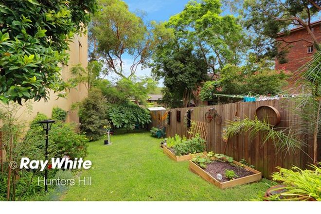 Picture of 460 Pacific Highway, LANE COVE NORTH NSW 2066