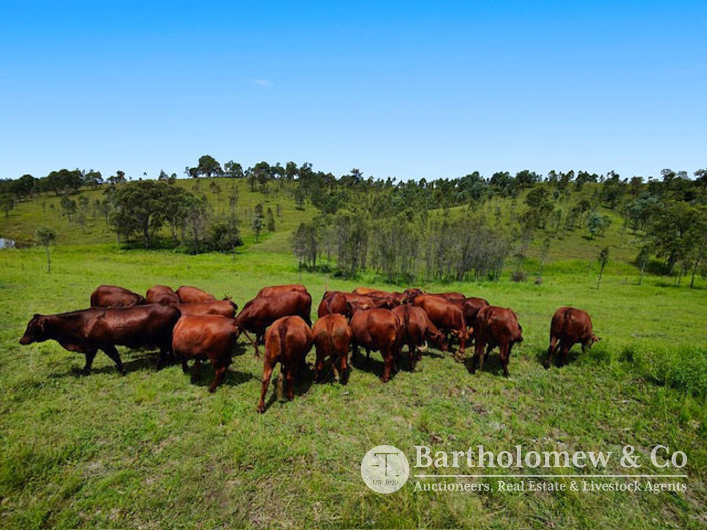 Cunningham Highway, Clumber QLD 4309, Image 1