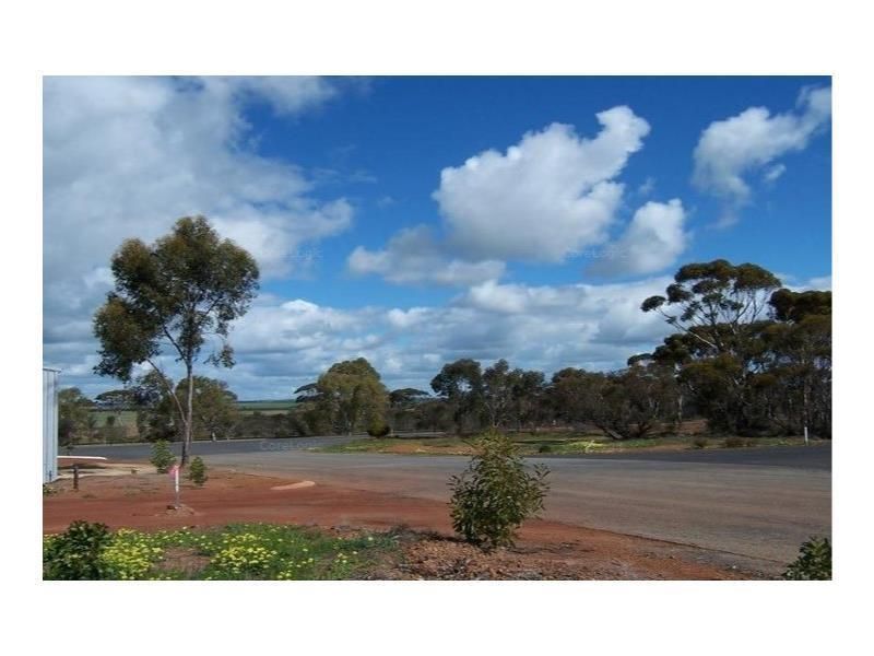 77 Harvey Street, Dumbleyung WA 6350, Image 2