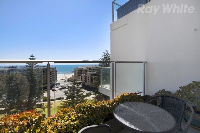 Picture of 1113/27 Colley Terrace, GLENELG SA 5045
