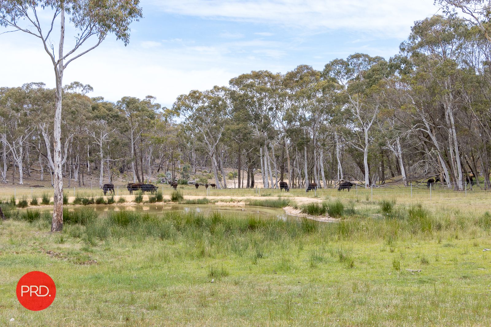 3578 Kings Highway, Bungendore NSW 2621, Image 2