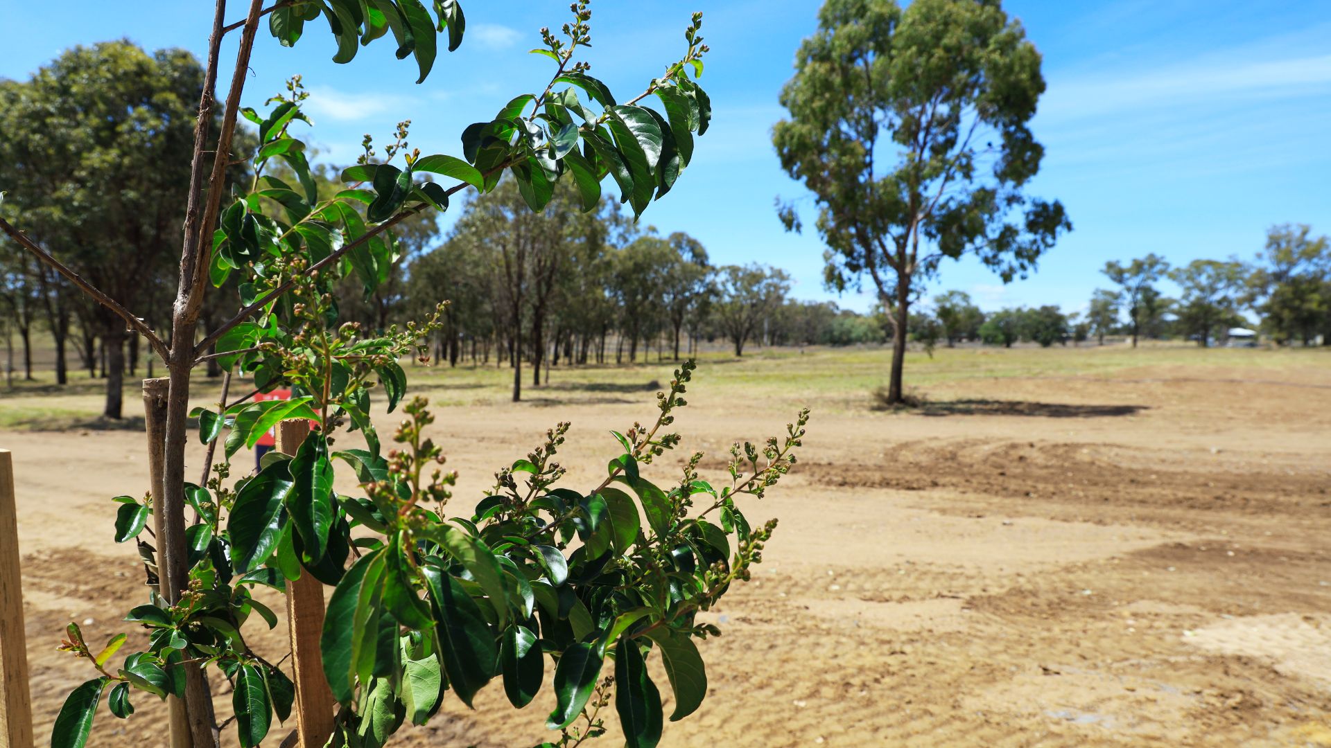 Lot 50 Jacob Drive (Warner Rise Estate), Warwick QLD 4370, Image 2