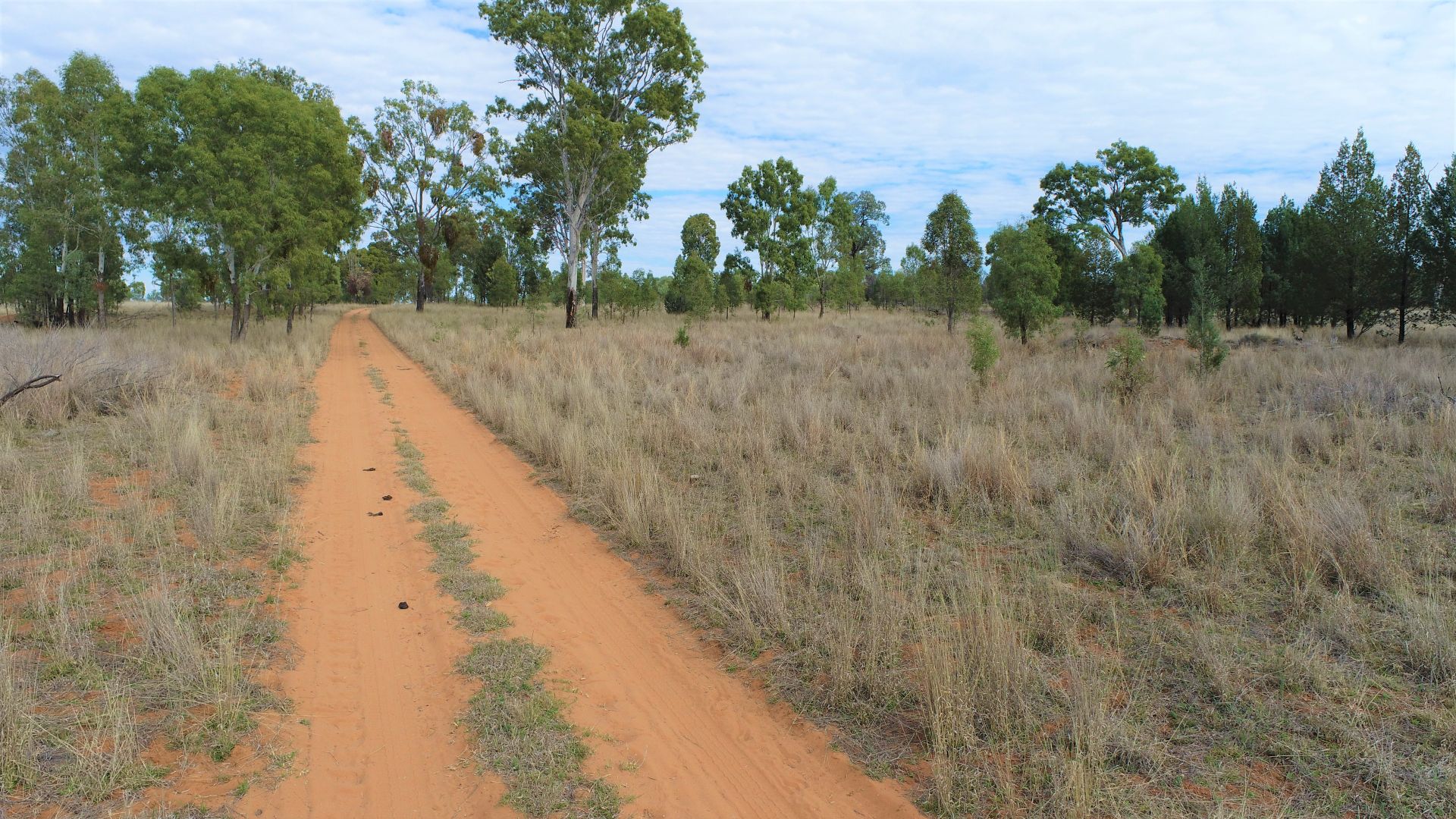 'Brookfield' 640 Carrington Road, Roma QLD 4455, Image 1