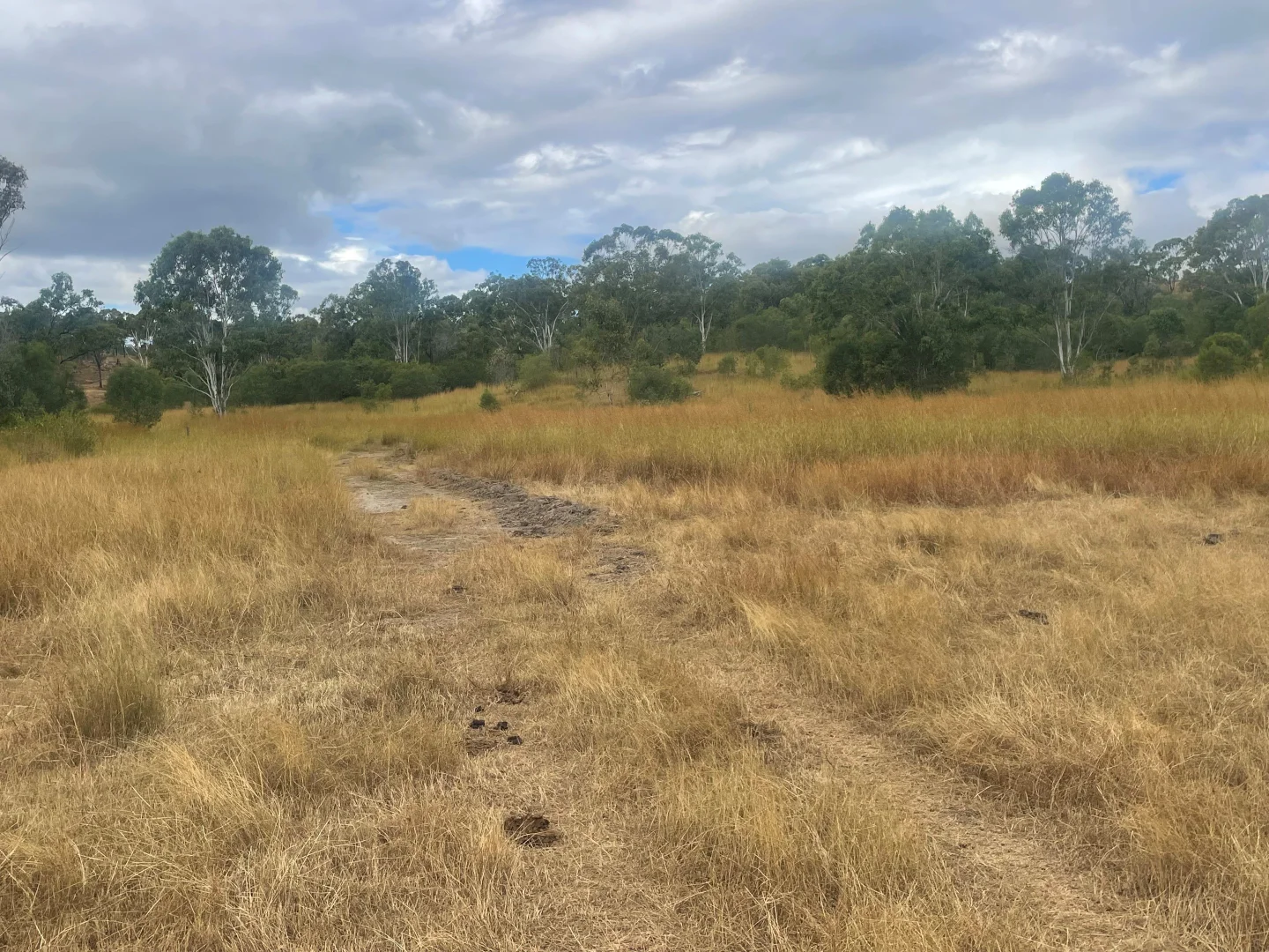 Image 15