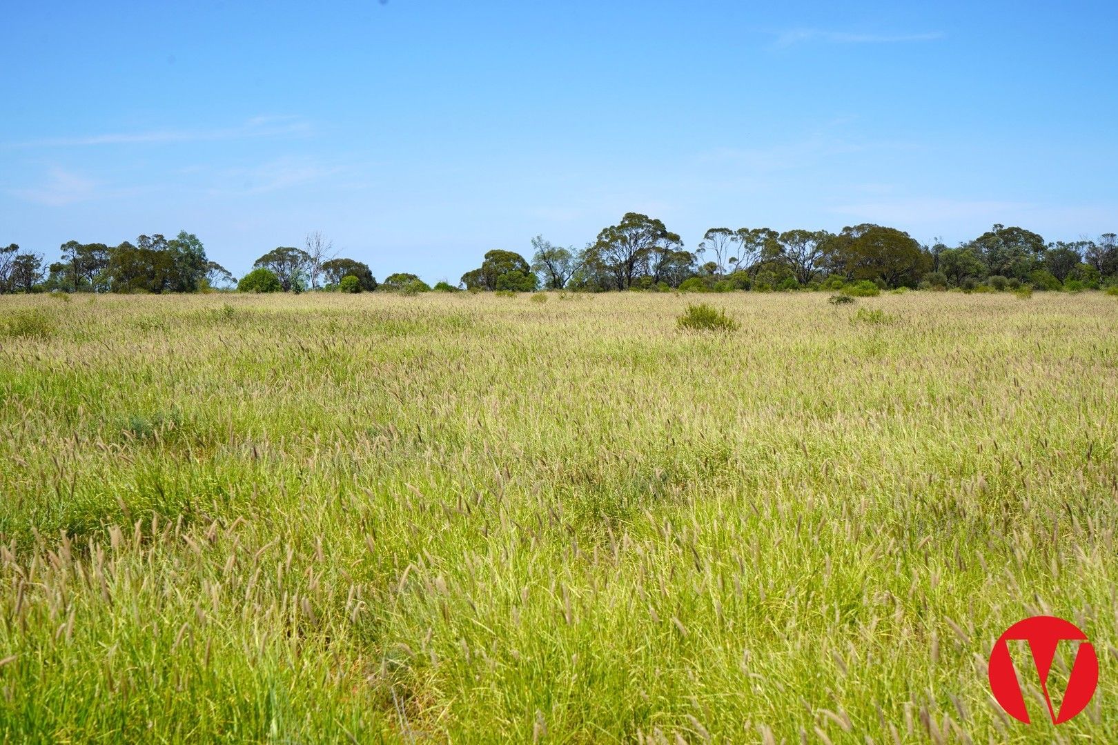 Tareela, Mungallala South QLD 4467 House for Sale Domain