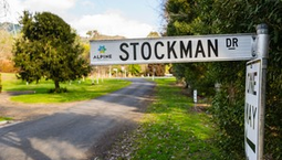 Picture of 10 Stockman Drive, BRIGHT VIC 3741