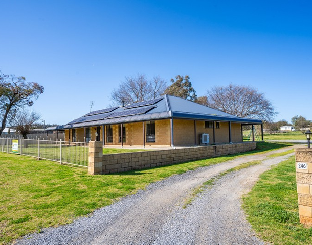 246 Tilga Street, Canowindra NSW 2804